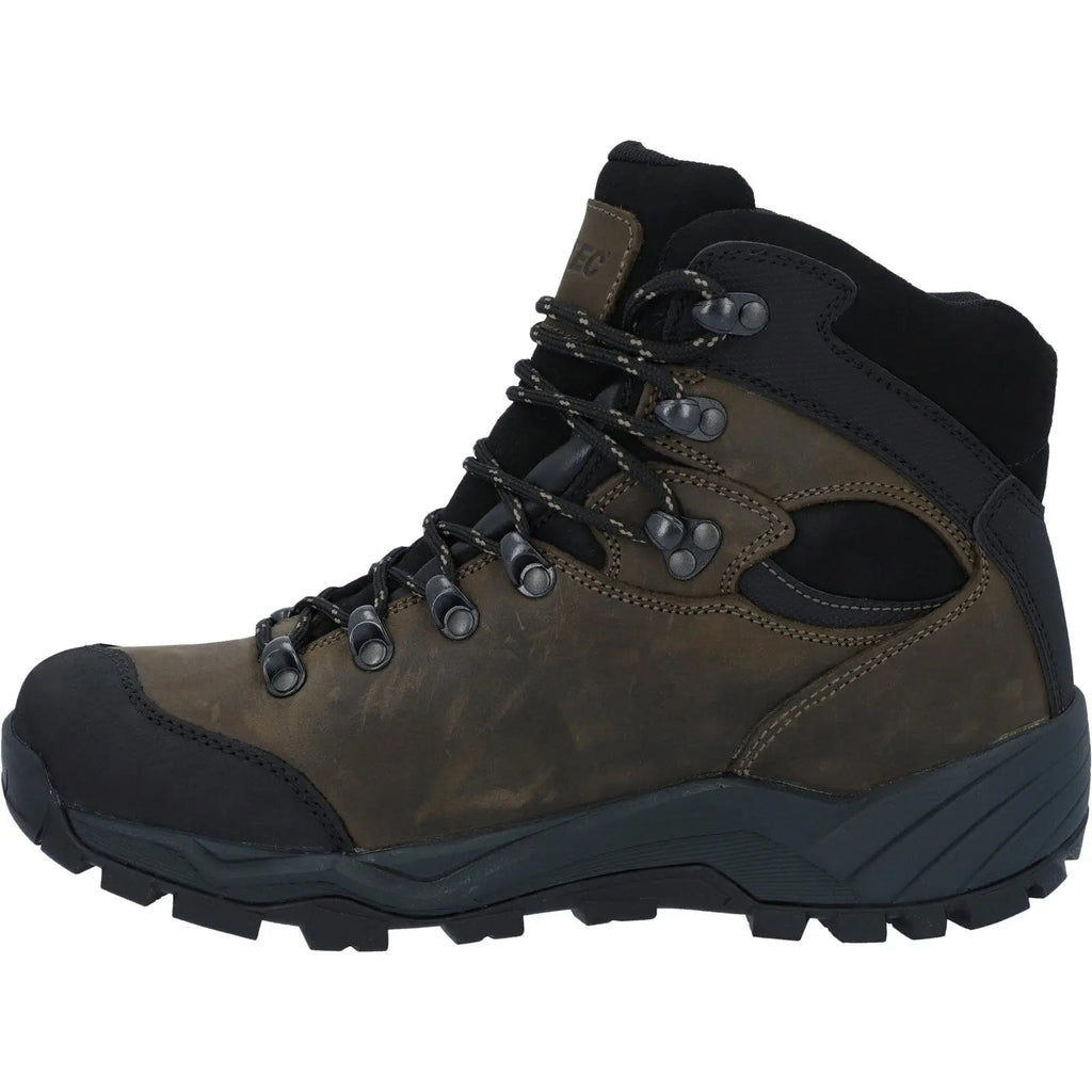 Altitude Pro RGS WP Leather Hiking Boots