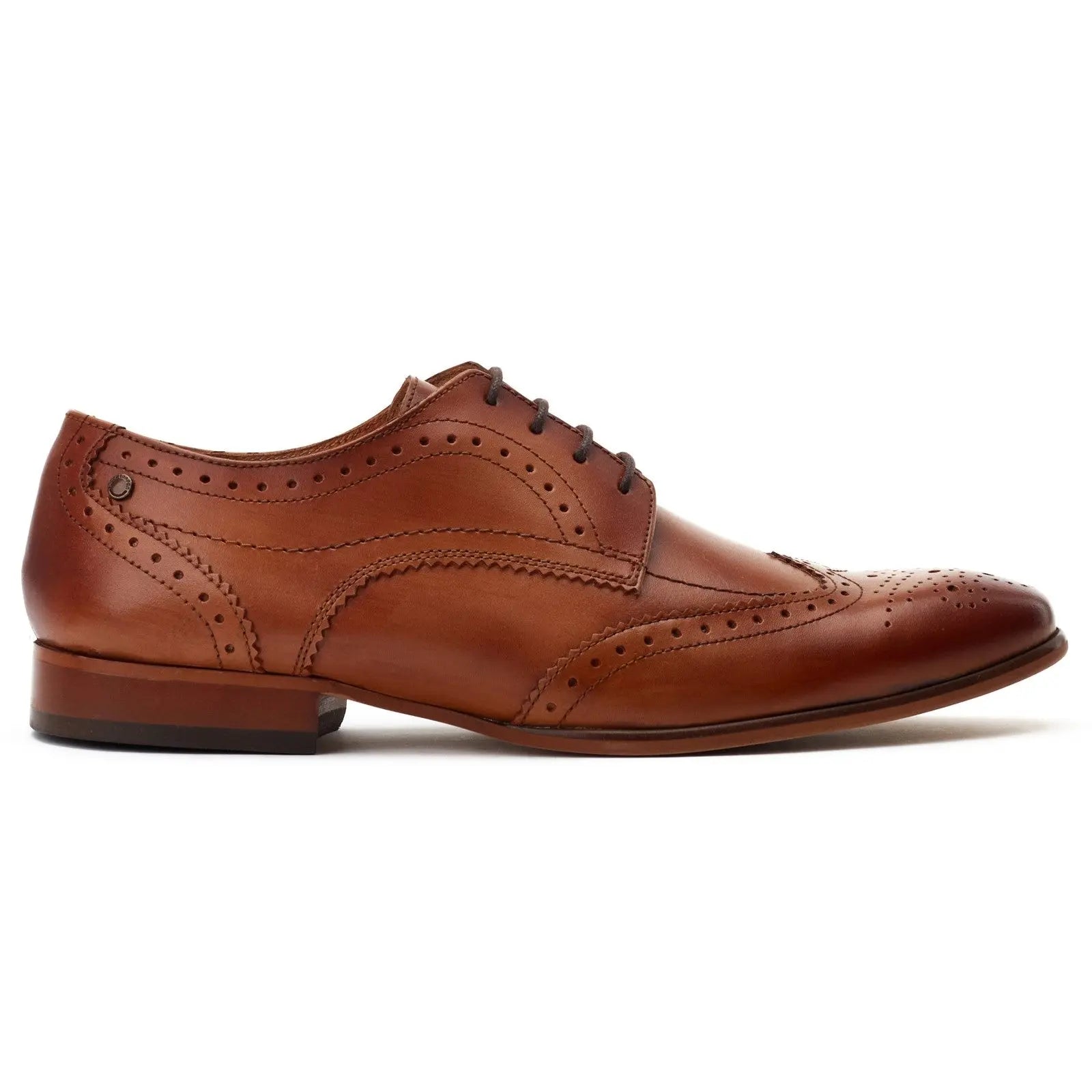 Barbera Excel Brogue