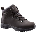 Nebraska Leather Hiker Boot WP
